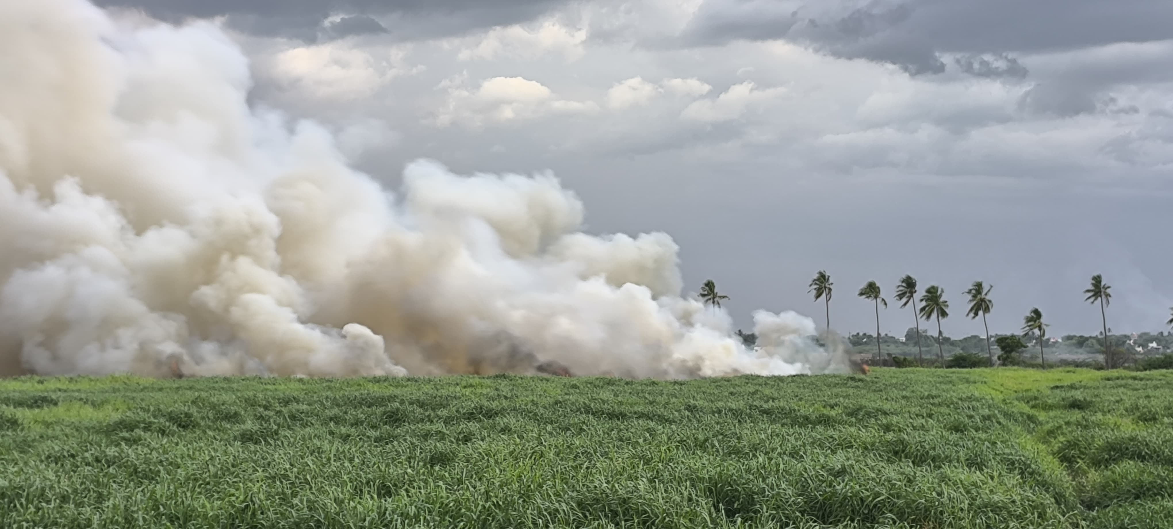 மதுரையில் திடீரென வானளவிற்கு கிளம்பிய புகை மூட்டத்தால் பரபரப்பு..