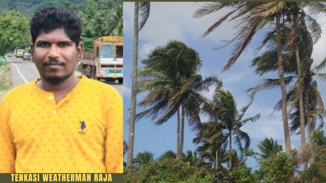 தென் மாவட்டங்களில் பலத்த காற்று: செங்கோட்டையில் கனமழைக்கு வாய்ப்பு; தென்காசி வெதர்மேன் ராஜா தகவல்..