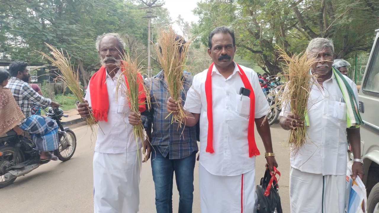 பயிர்களுக்கு இழப்பீடு வழங்க கோரி கருகிய பயிரோடு மாவட்ட ஆட்சியரை சந்திக்க வந்த விவசாயிகள் .!