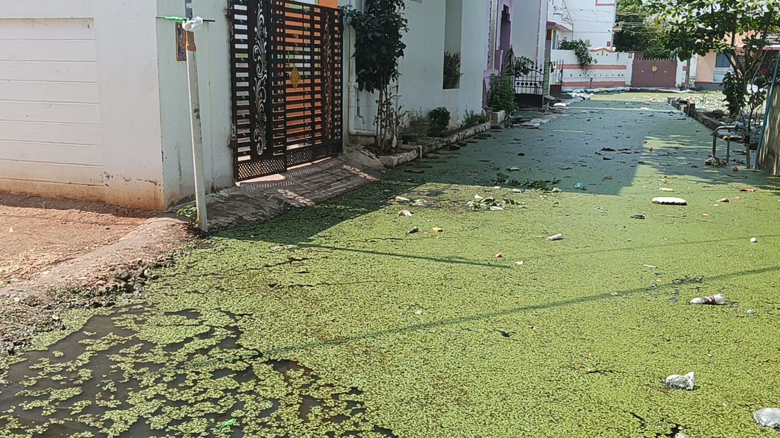 குளம் போல் தேங்கி நிற்கும் கழிவுநீரால் பொதுமக்கள் அவதி