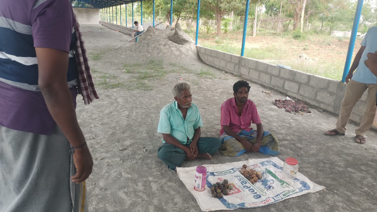 அலங்காநல்லூர் அருகே அதலை கிராமத்தில் காட்டு பன்றிகளை வேட்டையாடுவதற்கு வைத்திருந்த 31 நாட்டு வெடிகுண்டுகளுடன் இருவர் கைது
