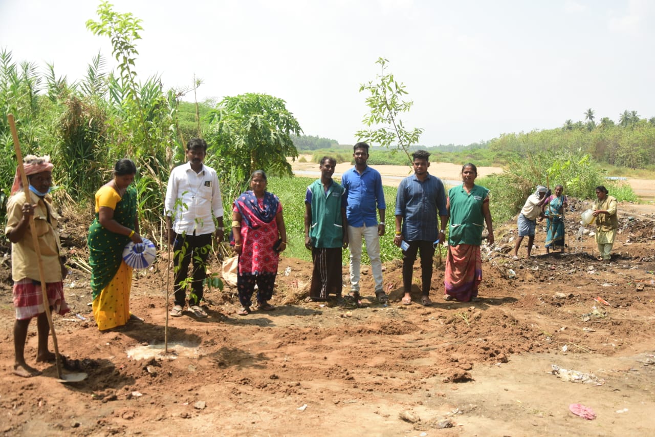 மேலக்கால் ஊராட்சி சார்பில் வைகை ஆற்றில் துப்புரவு பணி செய்து மரக்கன்றுகள் நடப்பட்டது