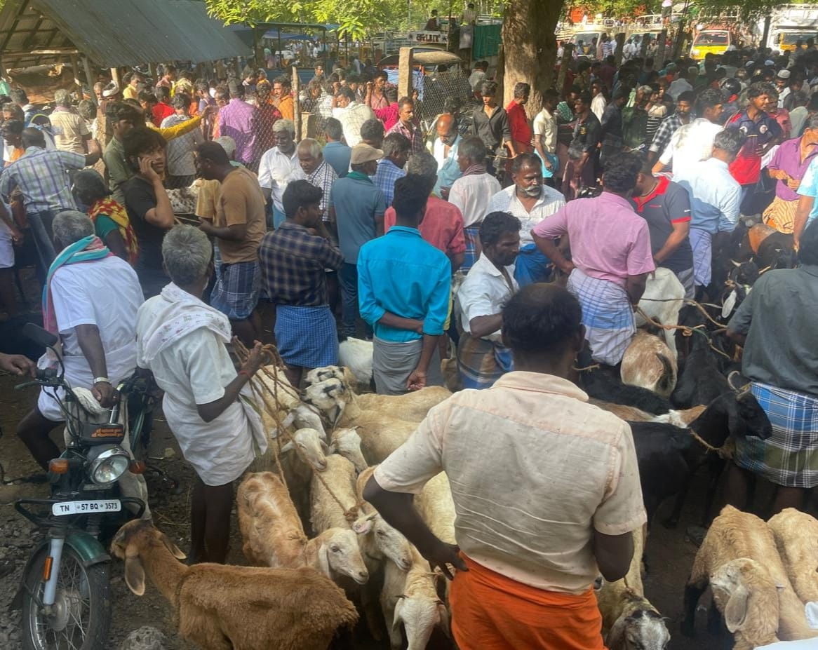 வாடிப்பட்டி வார சந்தையில் பக்ரீத் பண்டிகையை முன்னிட்டு ரூ.75 லட்சத்திற்கு ஆடுகள் விற்பனை