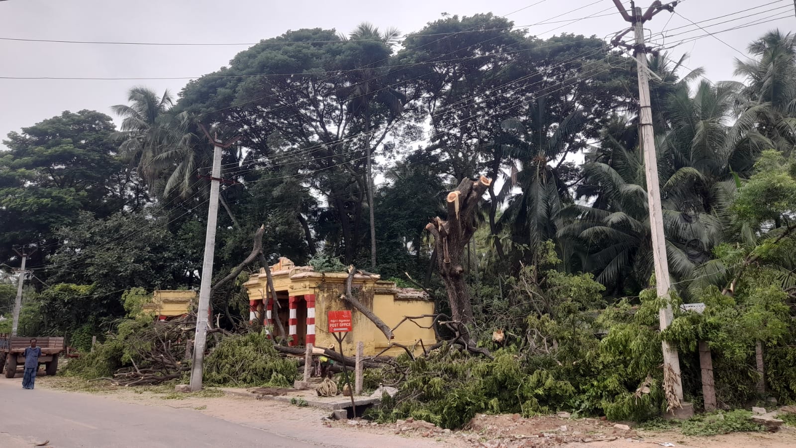 முள்ளிப் பள்ளம் கிராமத்தில் கும்பாபிஷேகம் பணிகளை தொடங்க இடையூறாக இருந்த மரம் அகற்றம் அதிகாரிகள் நடவடிக்கை
