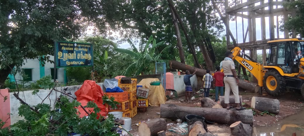 பலத்த மழை பெய்ததால் மரம் சாய்ந்து மீன் வியாபாரி பெண் பலி