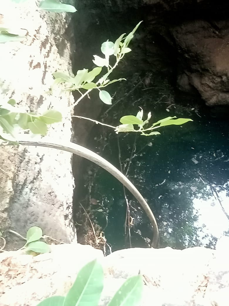 உசிலம்பட்டி அருகே கிணற்றிலிருந்த மோட்டார் திருட்டு.மர்ம நபர்கள் கைவரிசை.