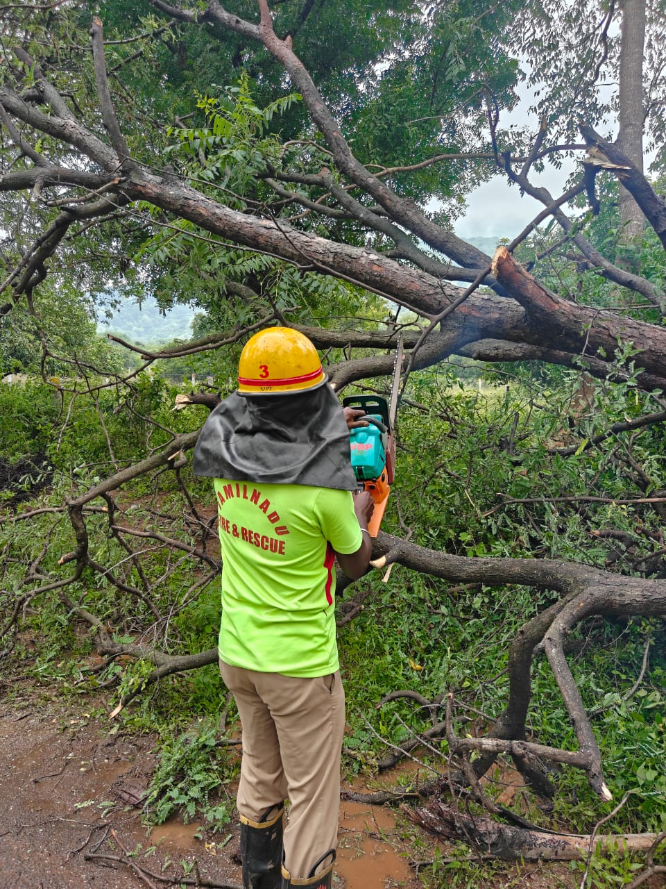 வாடிப்பட்டி அருகேகார் மீது மரம் விழுந்து விபத்து. தீயணைப்புத் துறையின் தாமதத்தால் போக்குவரத்து பாதிப்பு
