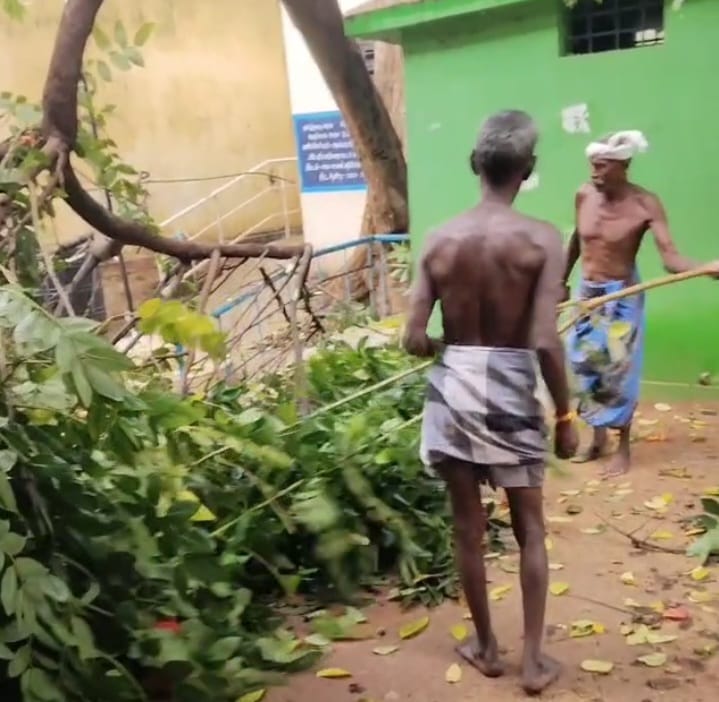 சோழவந்தான் அருகே கருப்பட்டி அரசு உயர்நிலைப்பள்ளியில் வகுப்பறை மீது மரம் விழுந்ததில் விடுமுறை தினம் என்பதால் உயிர் சேதம் தவிர்க்கப்பட்டதாக பொதுமக்கள் தகவல்