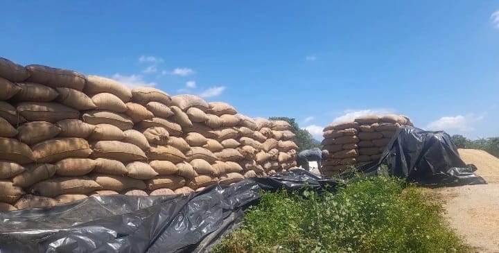 மத்திய குழுவினர் ஆய்வுக்கு பின்னும் நெல் கொள்முதலில் தாமதம்