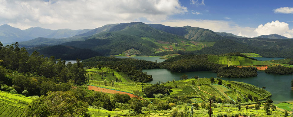 நீலகிரி மாவட்டத்தில் நிர்வாக வசதிக்காக  சில கிராமங்களை புதிதாக உருவாக்கி, சில ஊராட்சிகளின் எல்லையை மறுவரையறை செய்து அரசு உத்தரவு..