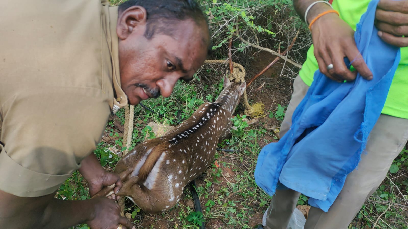 சோழவந்தான் அருகே கிணற்றில் விழுந்த மானை உயிருடன் மீட்டு வனத்துறையிடம் ஒப்படைத்த தீயணைப்புத் துறையினர்
