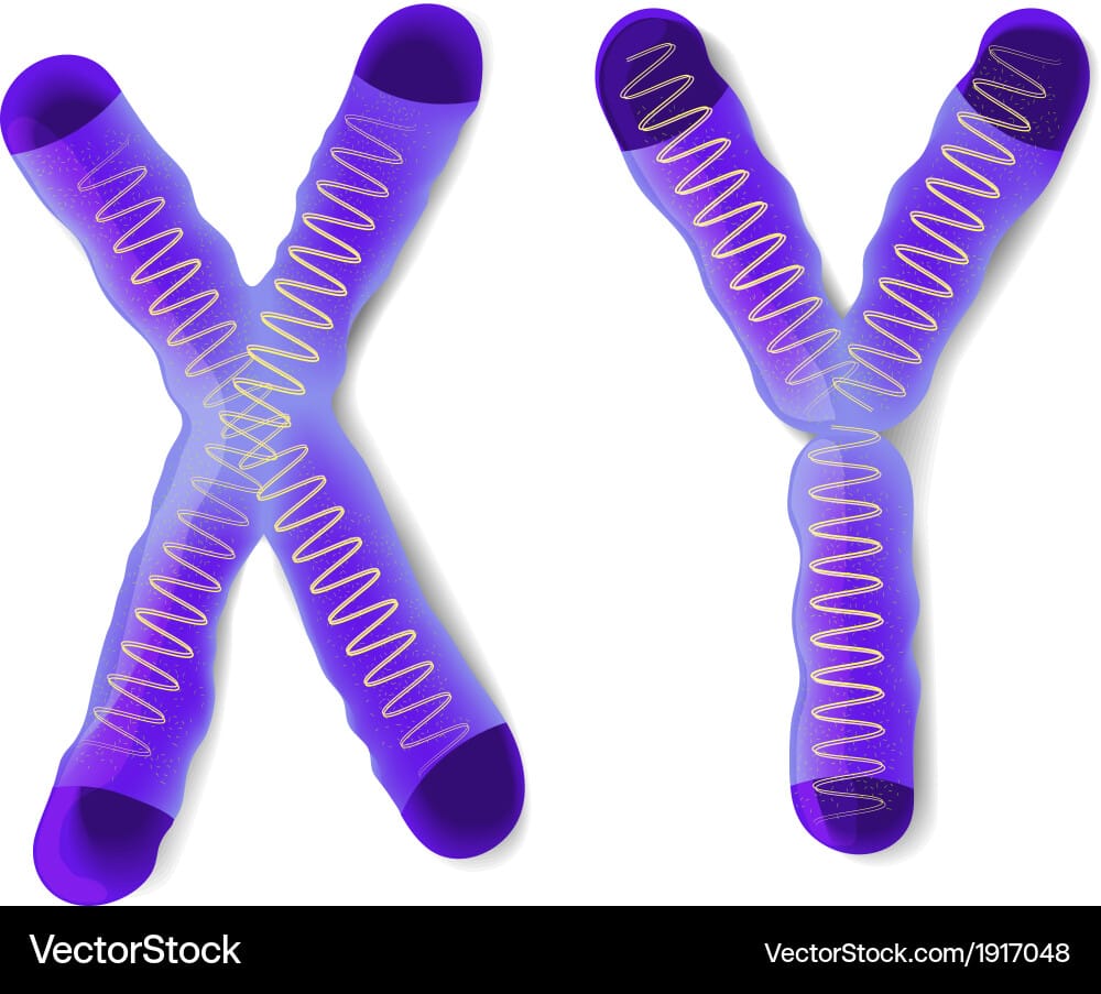 திருக்குர்ஆனின் ஒளியில் விஞ்ஞானம்.!
