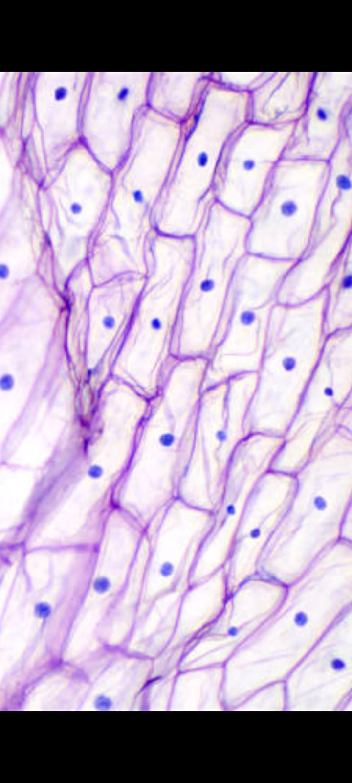திருக்குர்ஆனின் ஒளியில் விஞ்ஞானம்..!