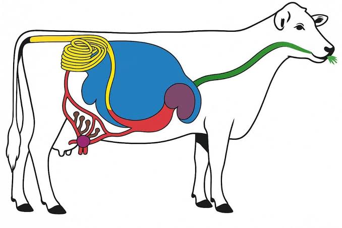திருக்குர்ஆனின் ஒளியில் விஞ்ஞானம்..!